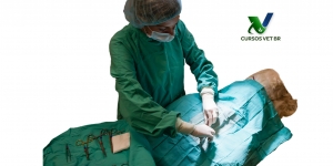 Cirurgias de Rotina em Pequenos Animais - Tórax e Abdômen