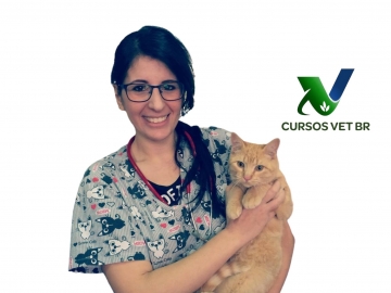 Intensivo em Medicina de Felinos